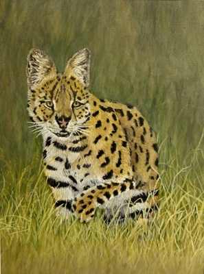 serval